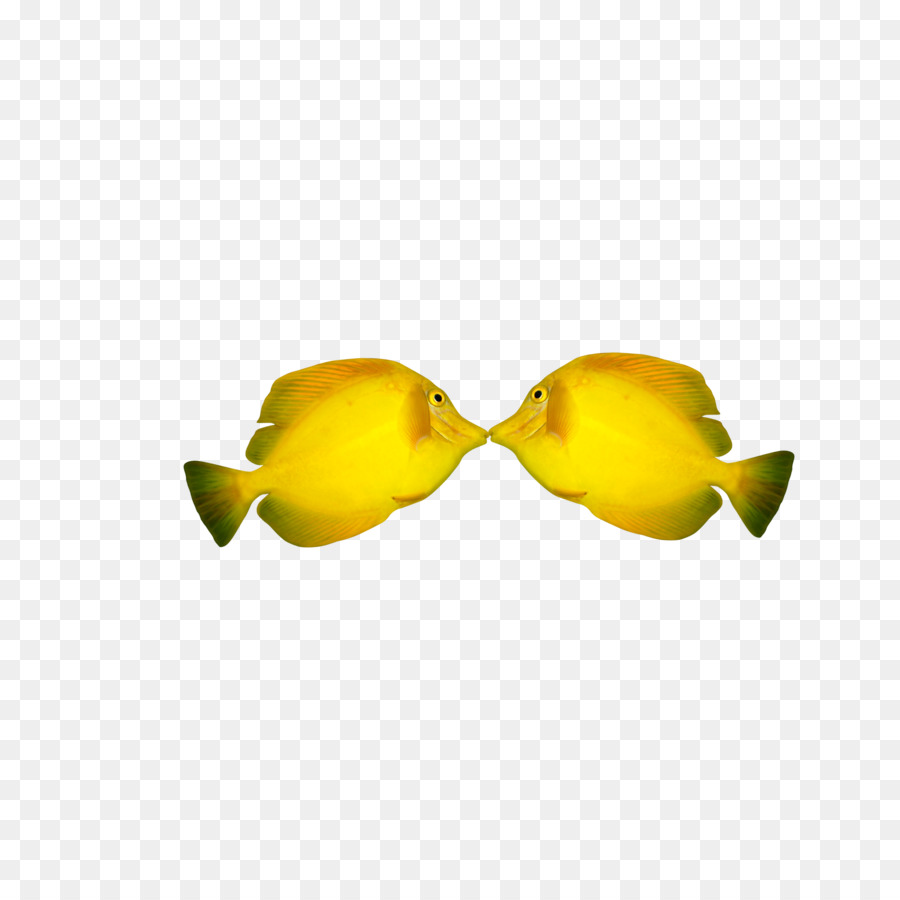 Peixe Amarelo，Peixe PNG