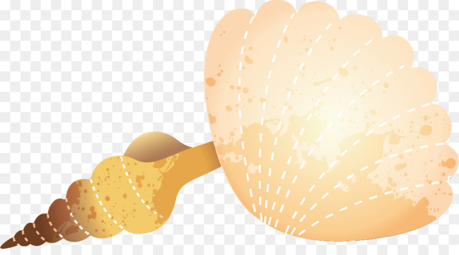 Sorvete，Seashell PNG