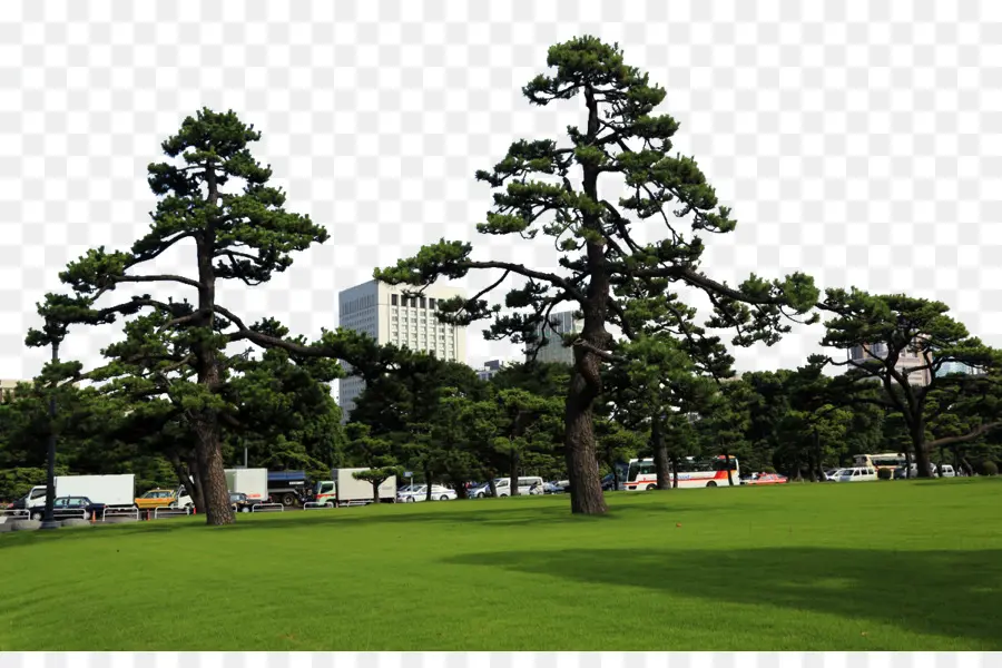 Palácio Imperial De Tóquio，O Parque Ueno PNG