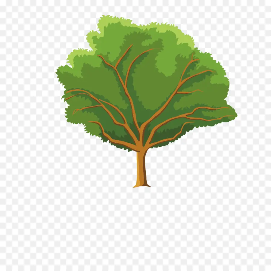 Temporada，árvore PNG