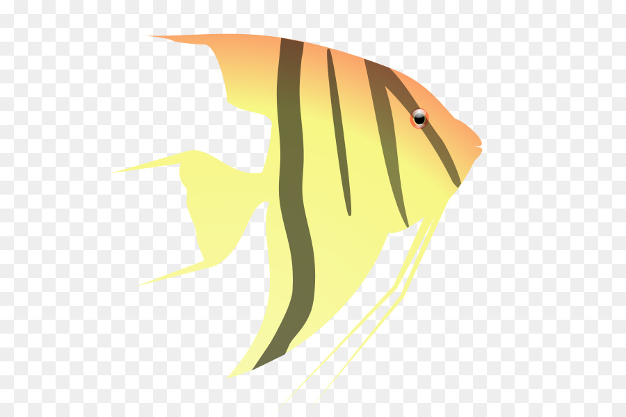 Peixe Amarelo，Aquático PNG