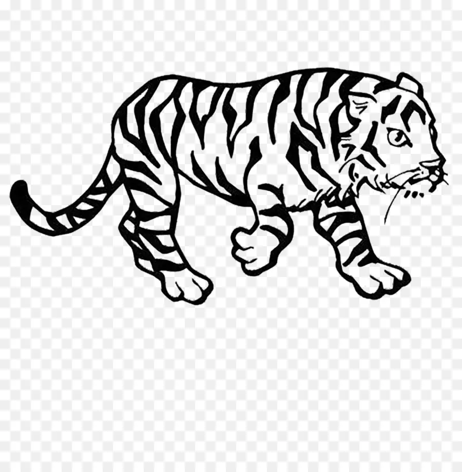 Siberian Tiger，Tigre De Bengala PNG