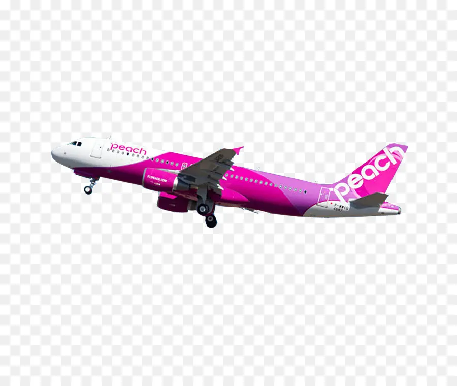 Avião Rosa，Voo PNG