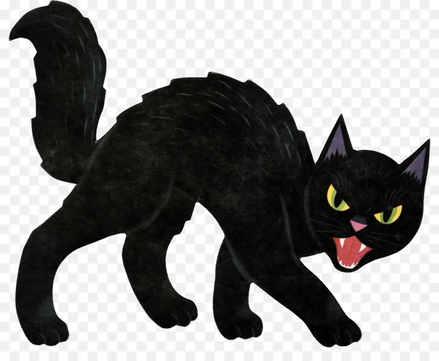 Gato，Dia Das Bruxas PNG