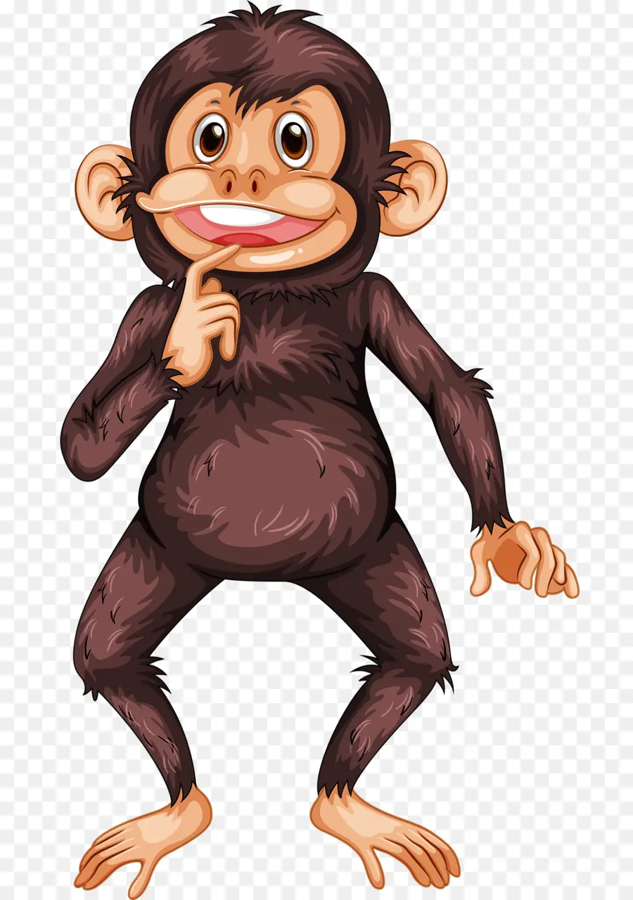 Ape，Bonobo PNG