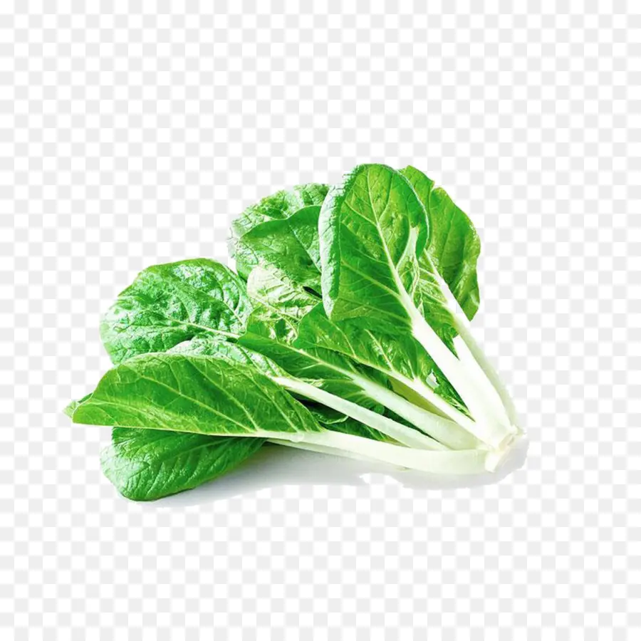 Bok Choy，Verde PNG