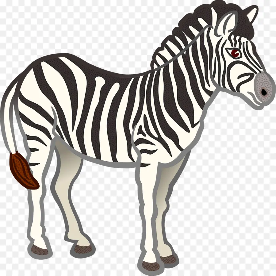 Zebra，Listras PNG