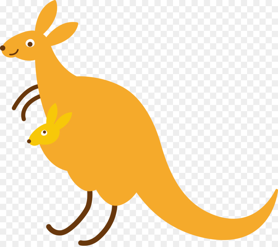 Canguru，Animal PNG