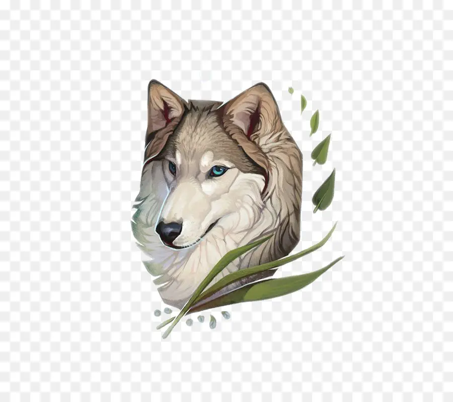 Husky Siberiano，Lobo Cinzento PNG