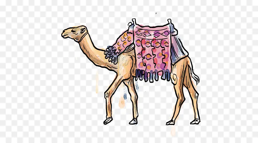 Camelo，Cartoon PNG