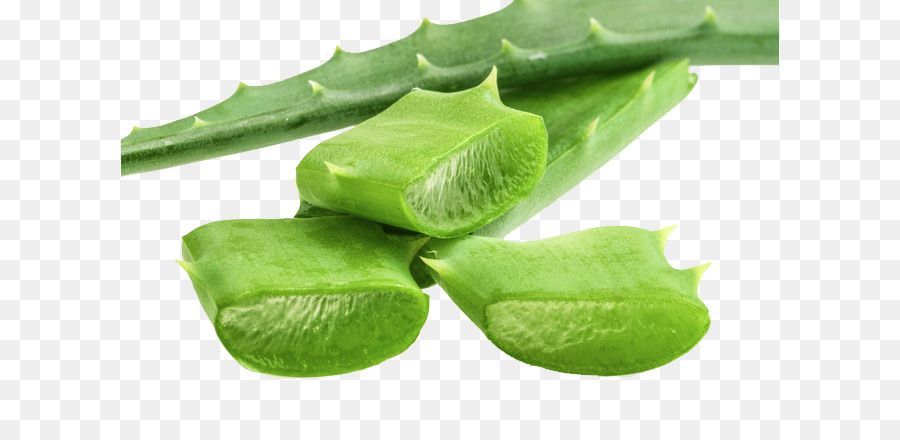 Aloe Vera，Verde PNG