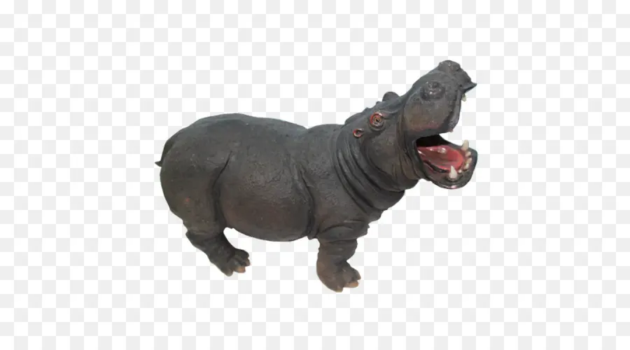 Hipopótamo Pigmeu，Hipopótamo PNG