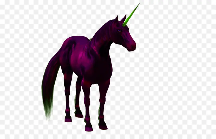 Unicórnio，Cavalo PNG