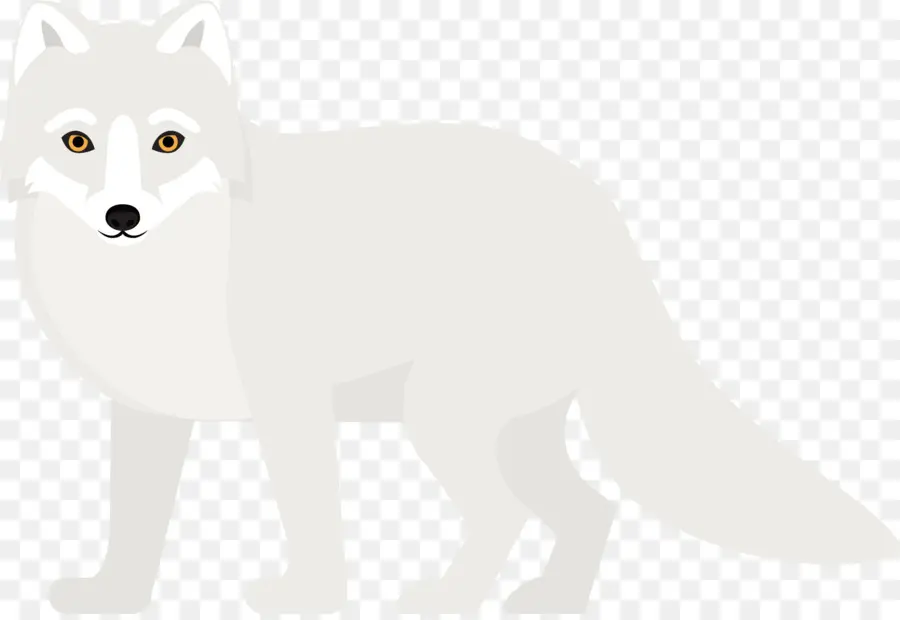 Raposa Do ártico，Cão PNG