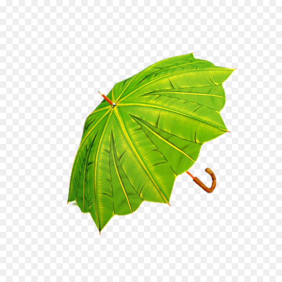 Guarda Chuva Verde，Chuva PNG