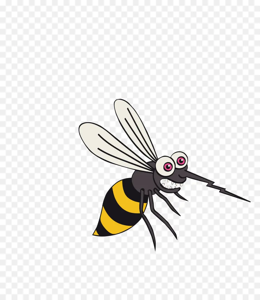 Mosquito，Cartoon PNG