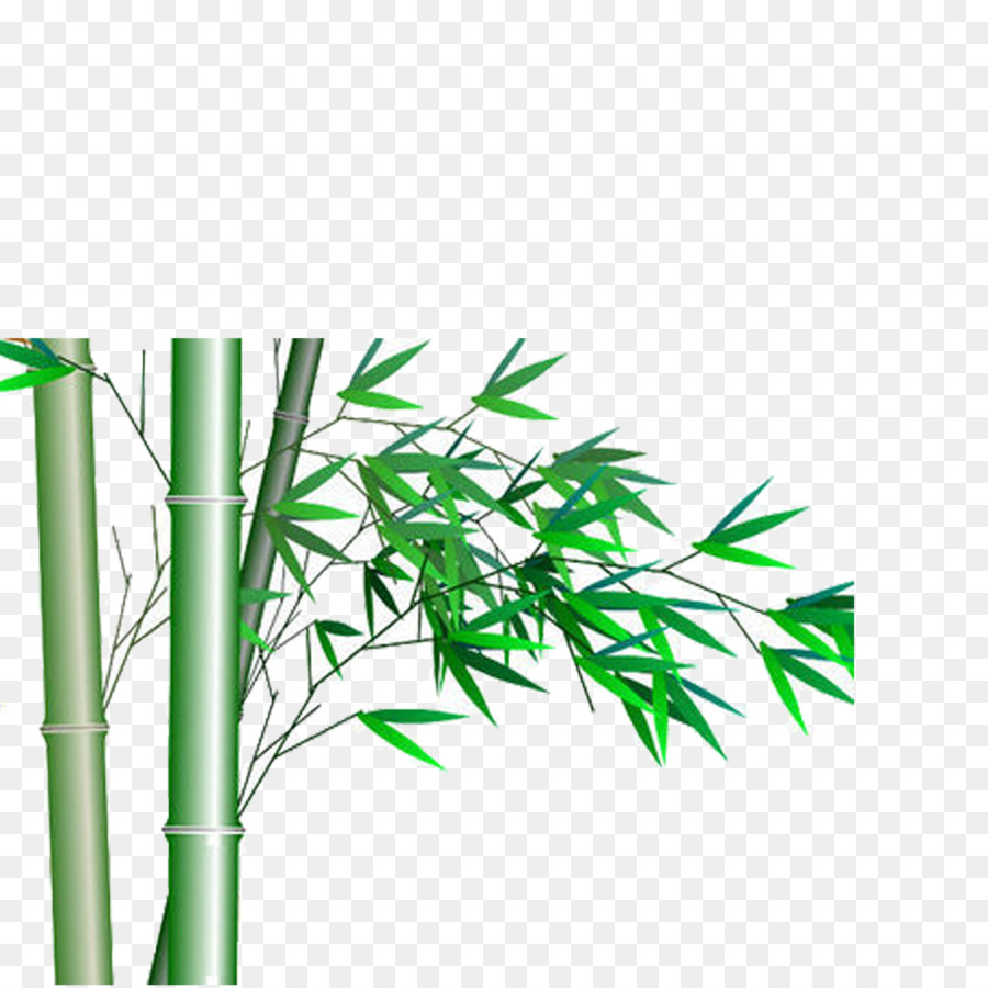 Bambu，Folhas PNG