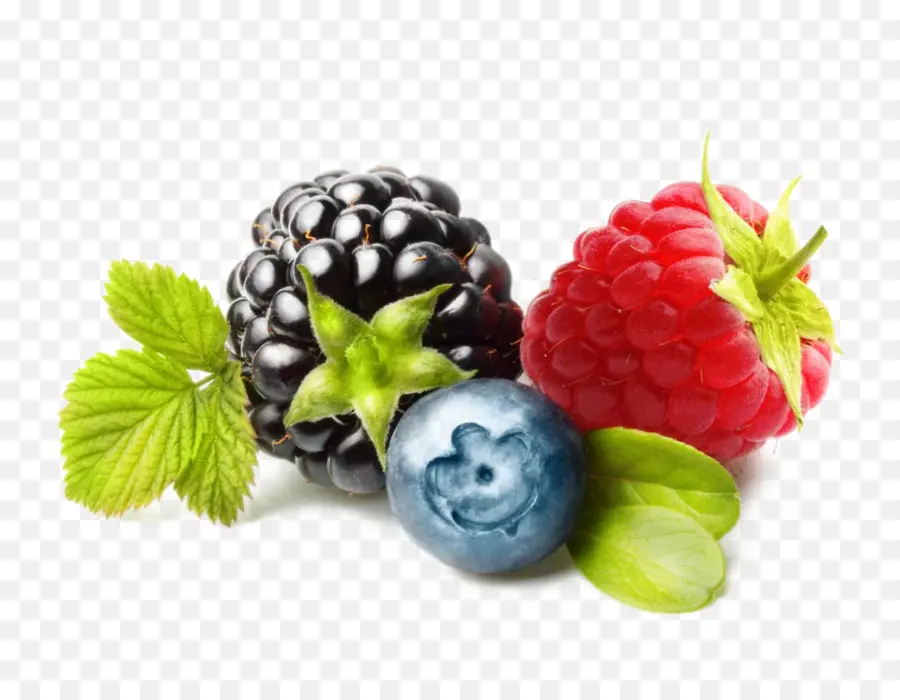 Berry，Mirtilo PNG