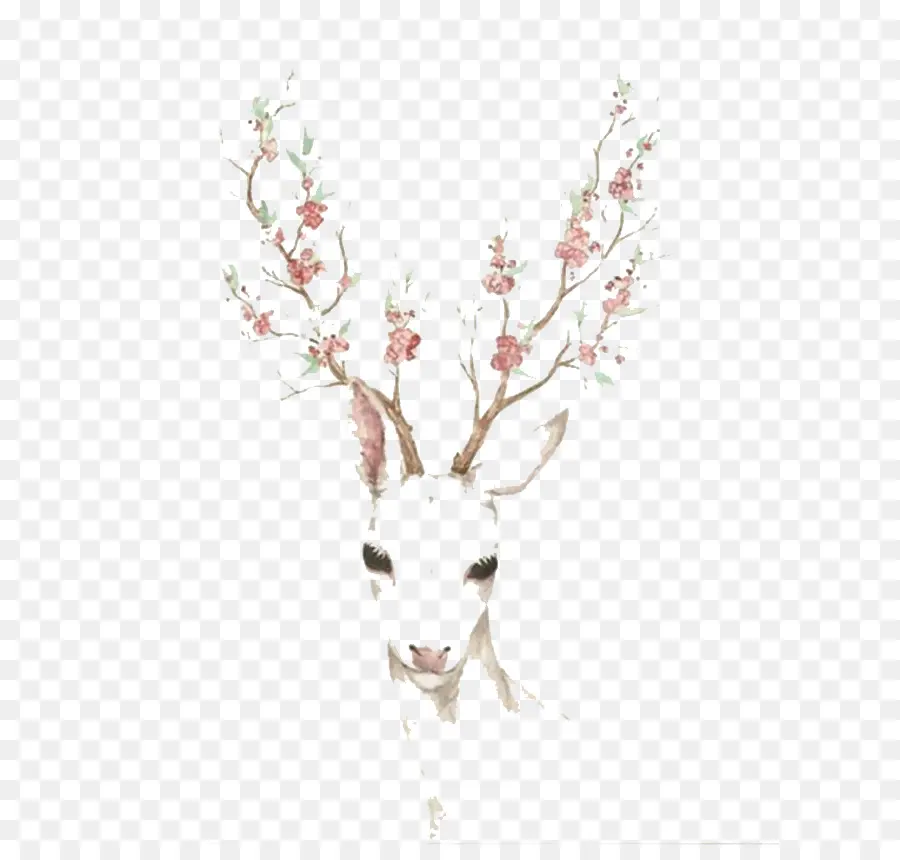 Veado，Antler PNG