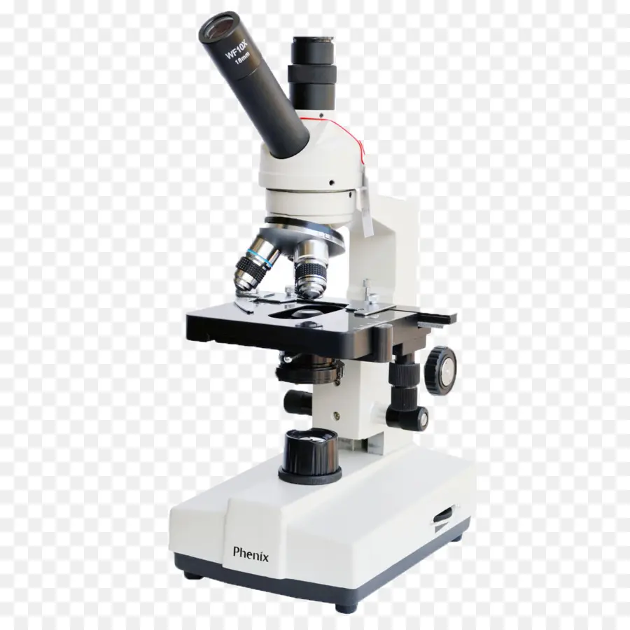 Microscópio，Laboratório PNG