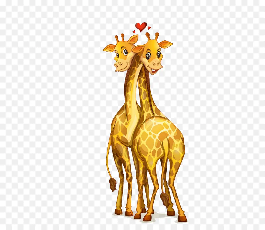 Girafas，Amor PNG