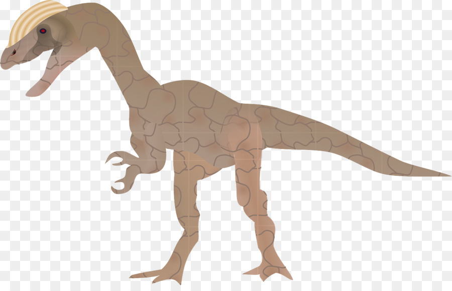 Dinossauro，Euclidiana Do Vetor PNG