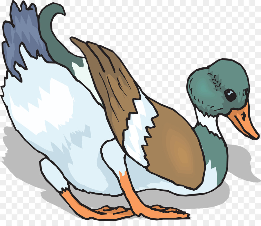 Pato，Pássaro PNG