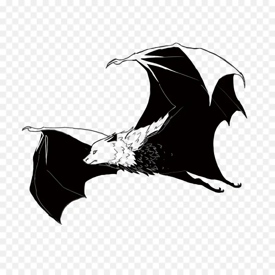 Bat，Tapas PNG