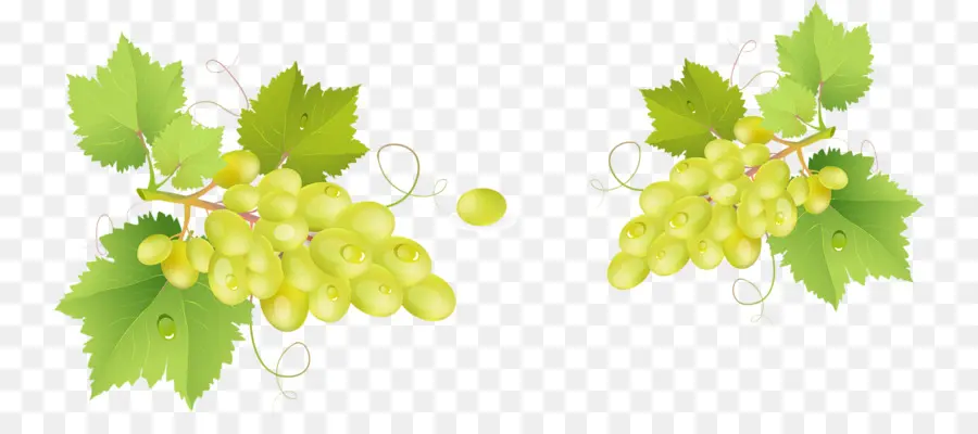 Uvas，Verde PNG