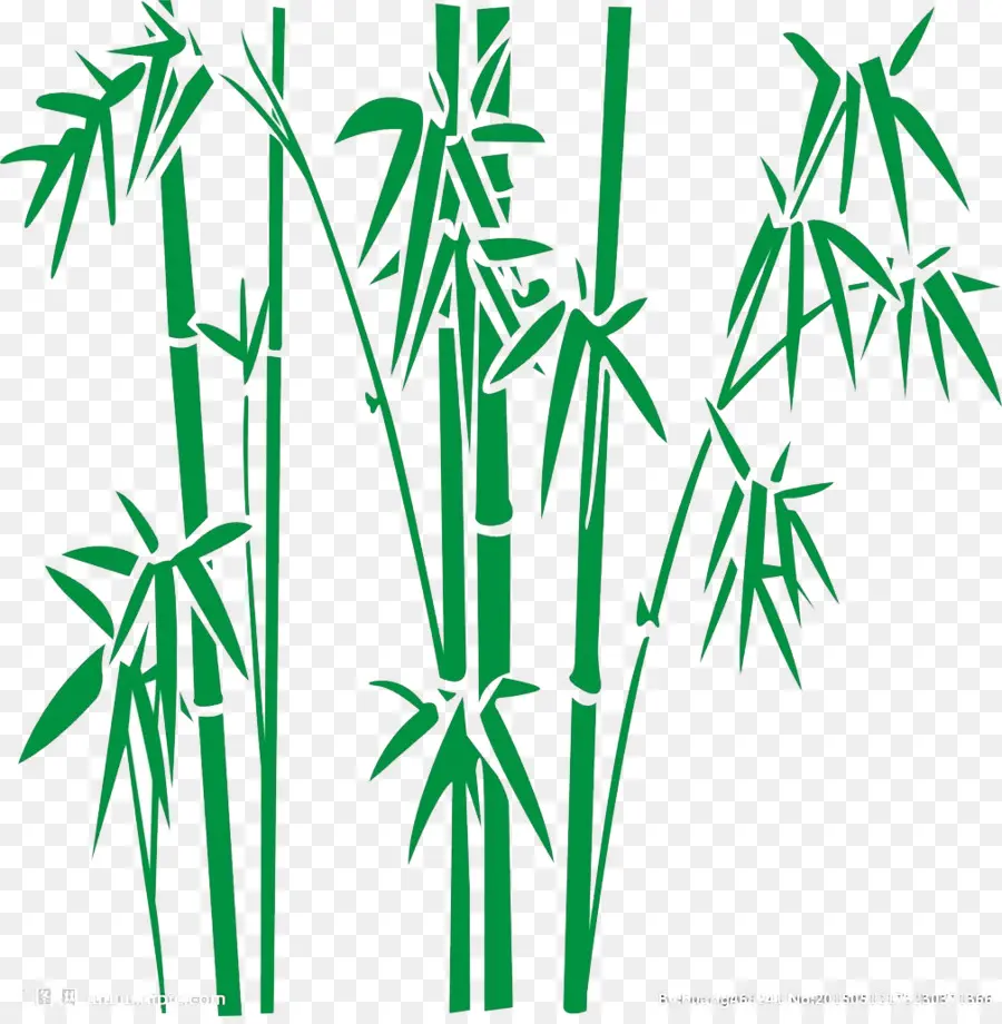 Bambu，Verde PNG