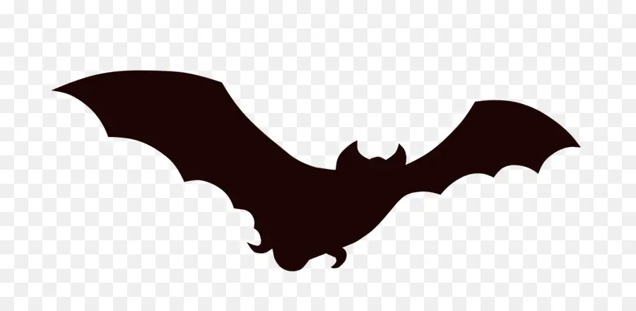 Bat，Animação PNG