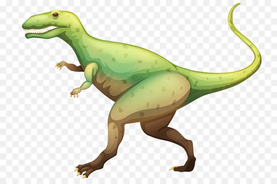 Dinossauro，Tiranossauro Rex PNG