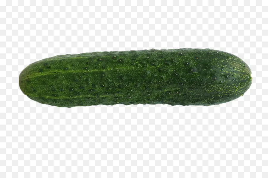 Pepino，Pepino Em Conserva PNG