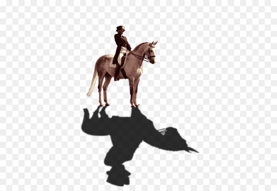 Cavalo，Cavaleiro PNG