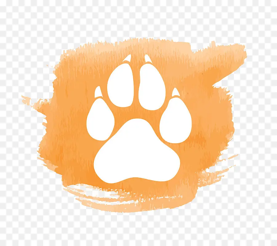 Gato，Cão PNG