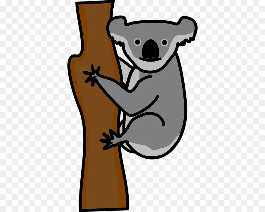 Koala，Panda Gigante PNG