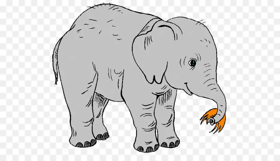 Bebê Elefante，Bonitinho PNG