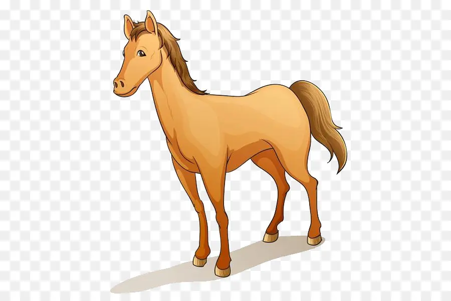 Barb Cavalo，De Pônei PNG