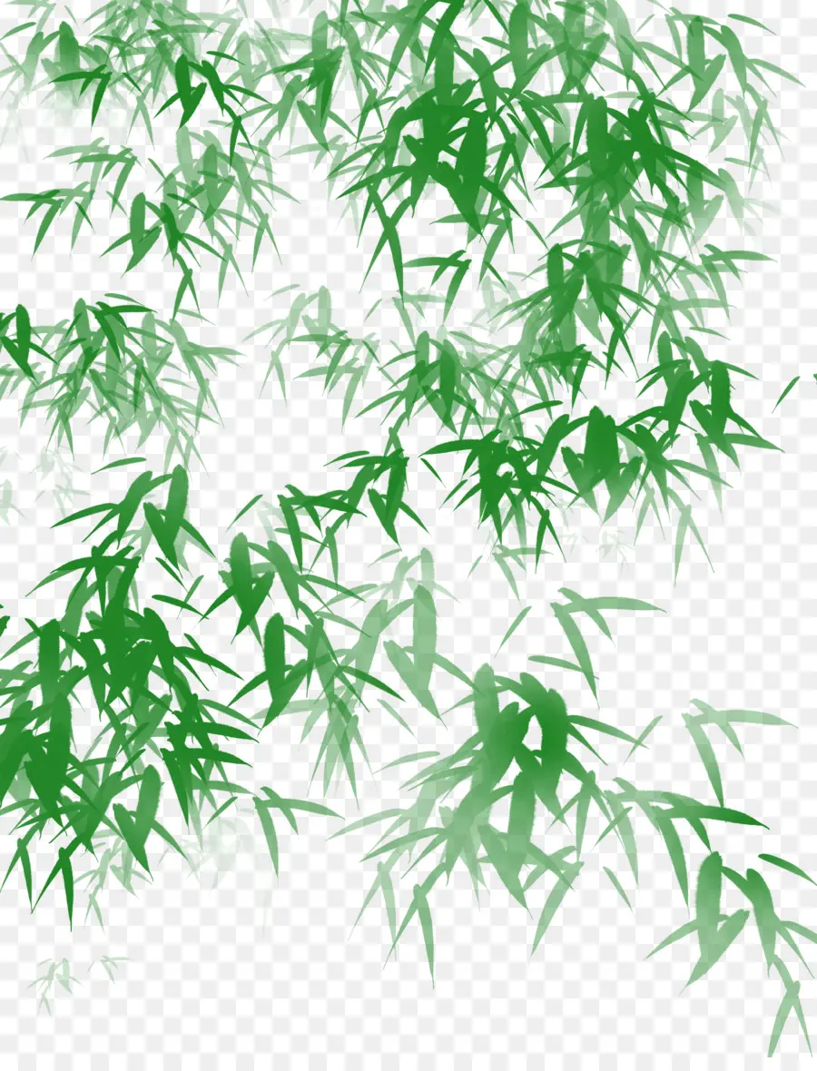 Folhas Verdes De Bambu，Natureza PNG