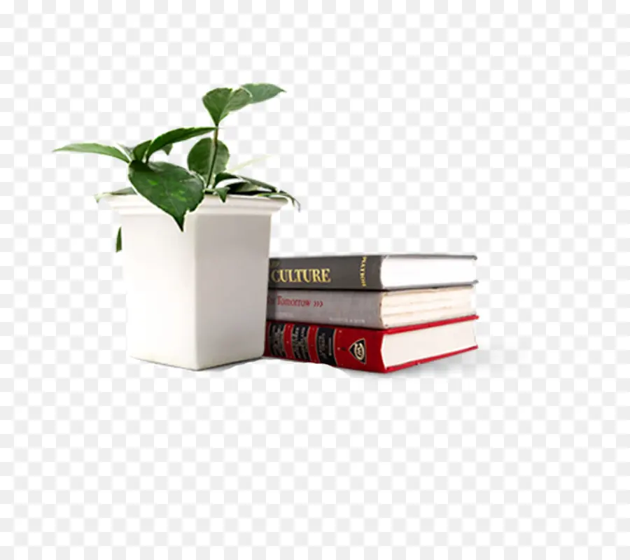 Planta Em Vaso，Livros PNG