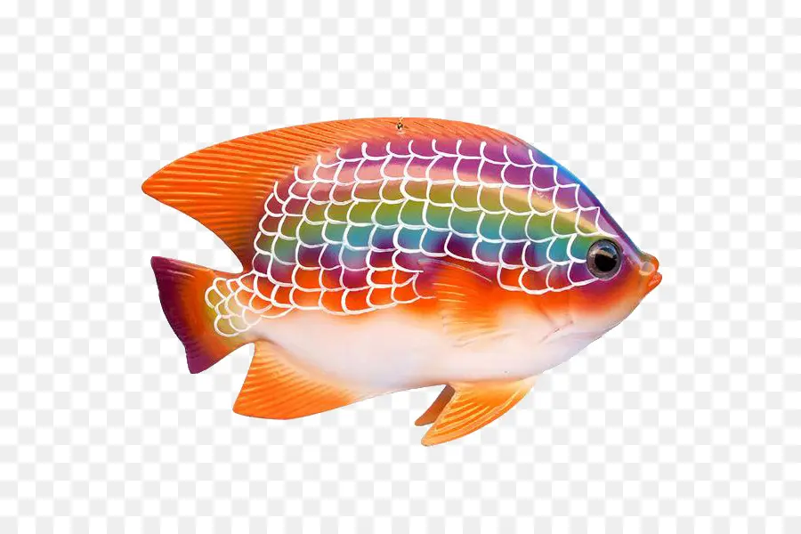 Peixes Tropicais，Peixe PNG