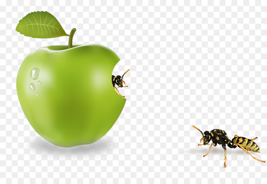 Apple，Pré Visualização PNG