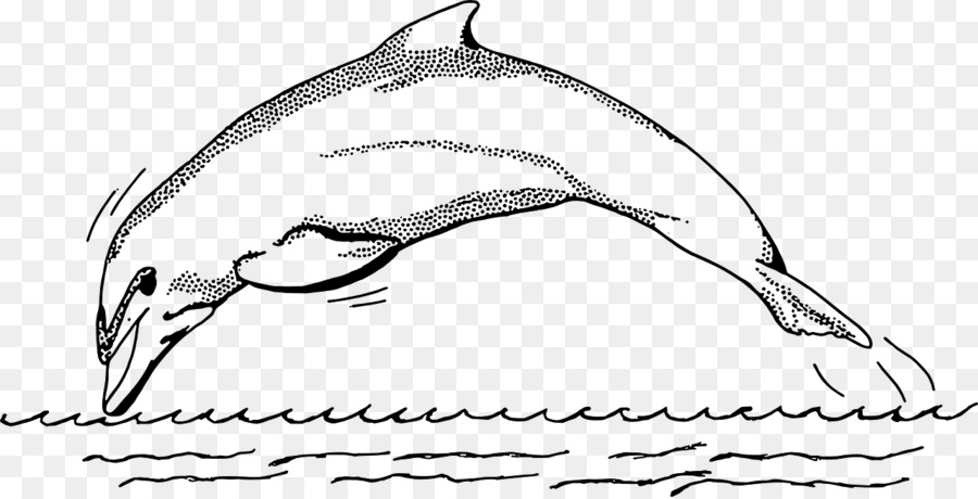 Dolphin，Golfinho Rotador PNG