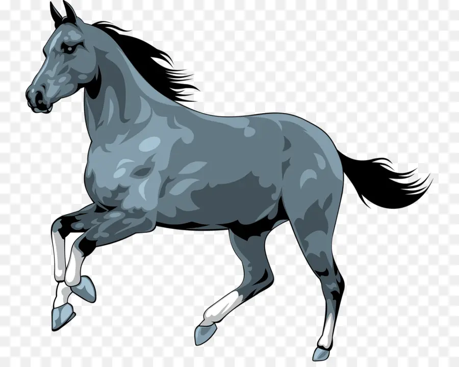 Cavalo，Royaltyfree PNG