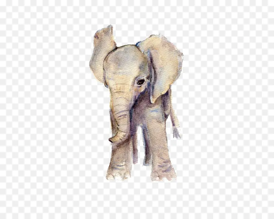 Elefante，Pintura Em Aquarela PNG
