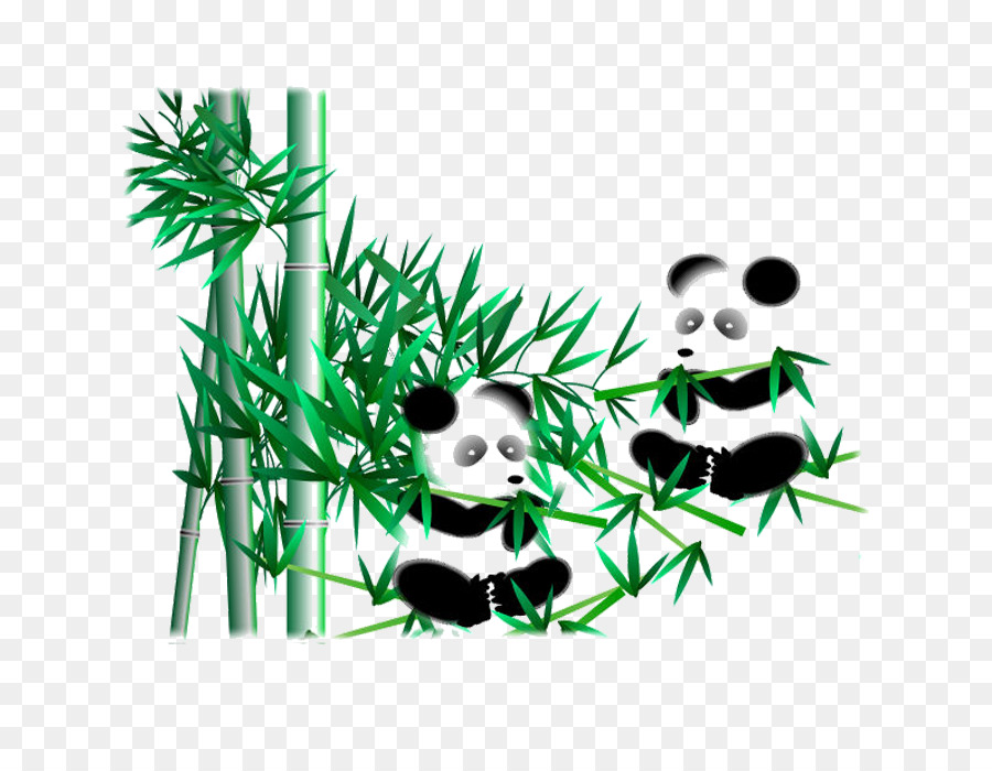 Pandas E Bambu，Pandas PNG