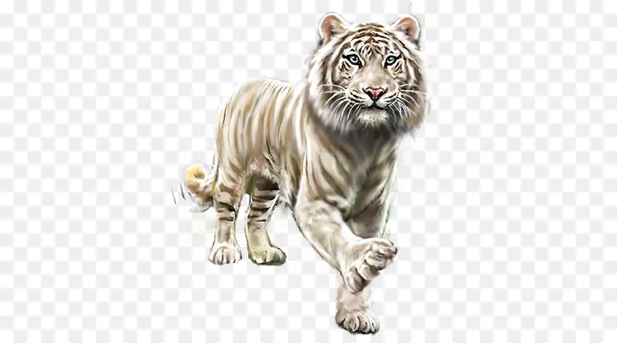 Tigre，Gorila PNG