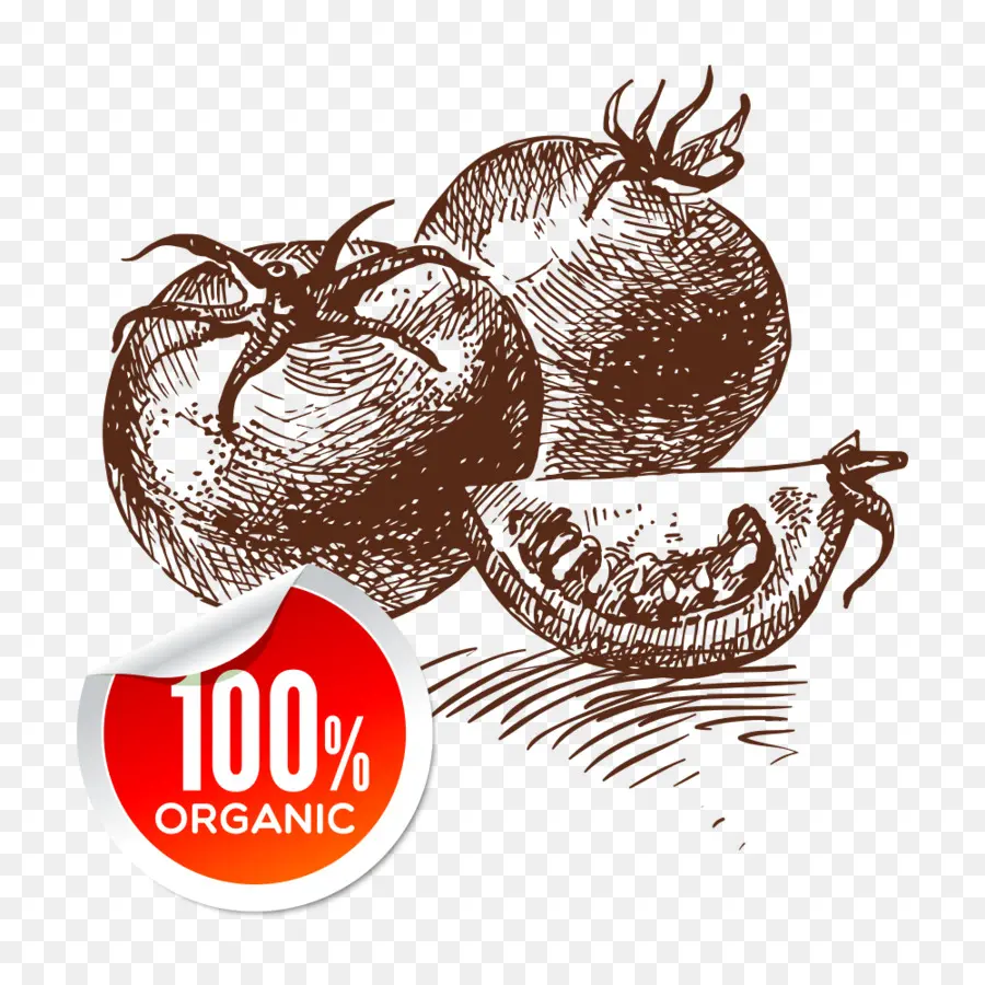 Tomate，Cozinha Vegetariana PNG