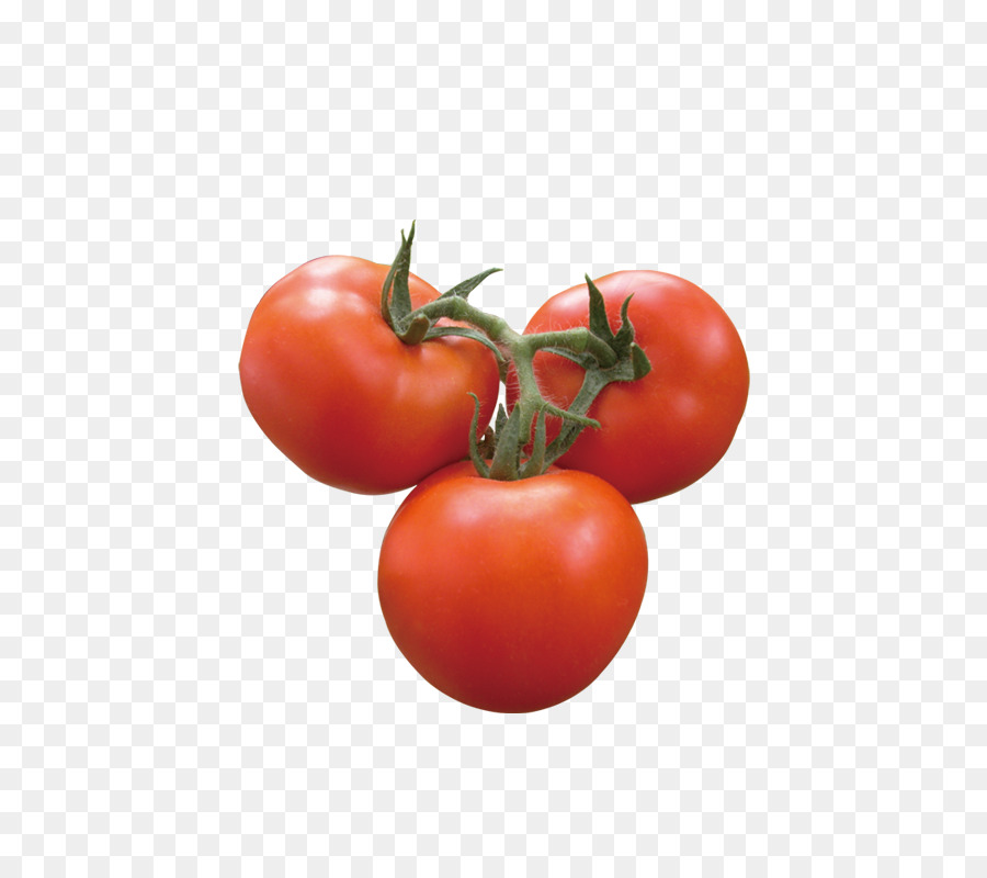 Ameixa Tomate，Tomate PNG