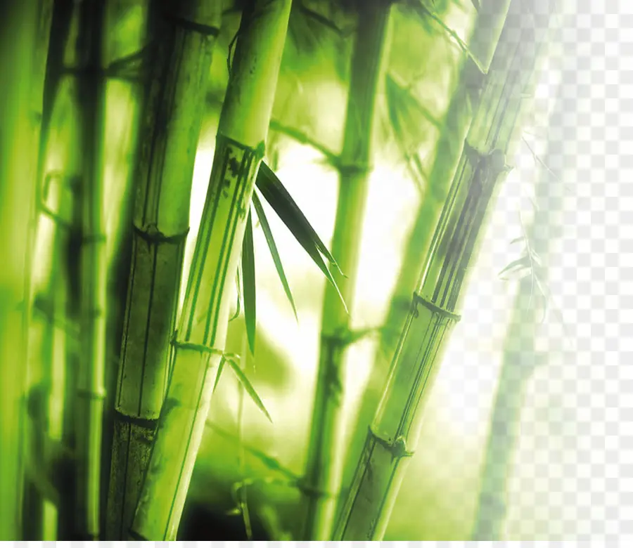 Bambu，Parede PNG